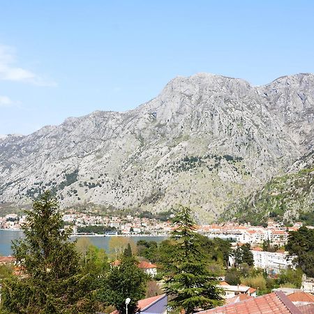 Apartment Baletic Kotor Exterior photo